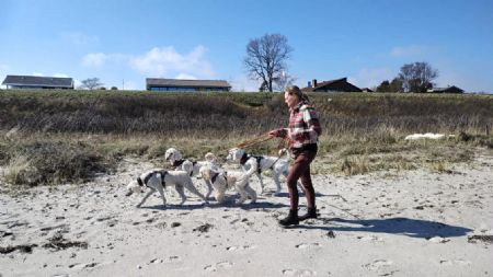 Billede af Rikke - ID: 1749109 - Billede nr: 673492