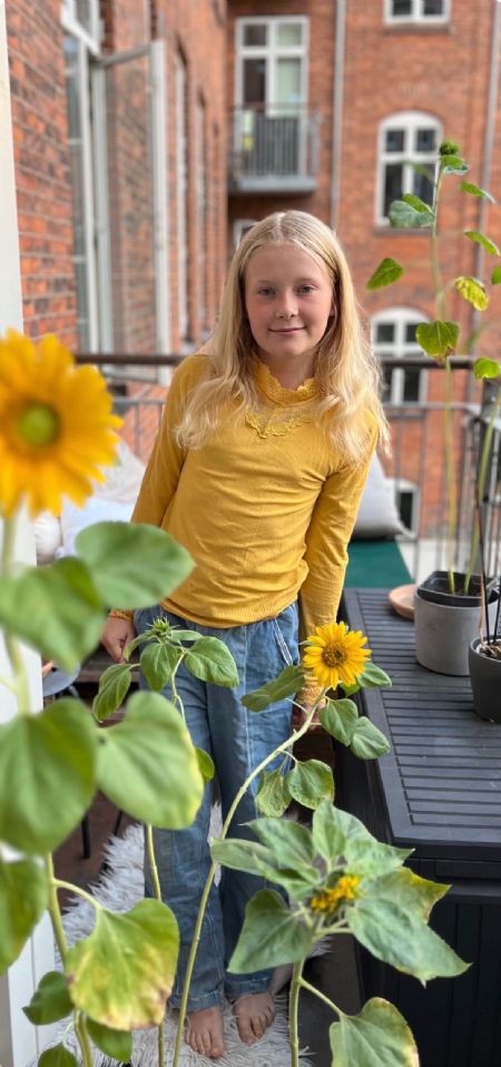 Billede af Alice- ID: 1749188 - Billede nr: 673829