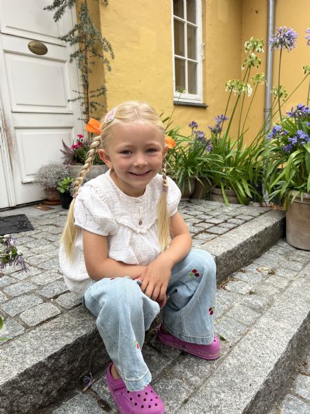 Billede af Rose - ID: 1749625 - Billede nr: 686550