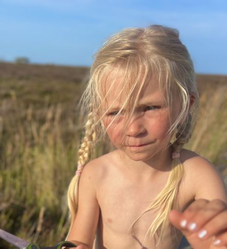 Billede af Rose - ID: 1749625 - Billede nr: 687276