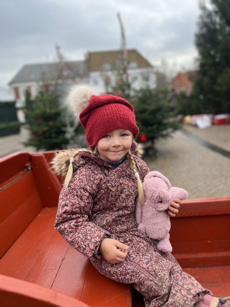 Billede af Rose - ID: 1749625 - Billede nr: 687281