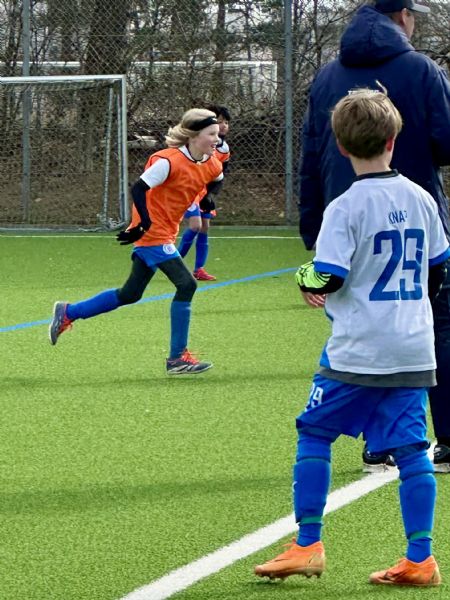 Billede af Henry - ID: 1750074 - Billede nr: 678906