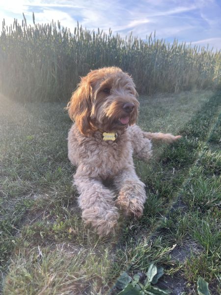Profilbillede af Tina L- ID: 1750158 - Billede nr: 679044