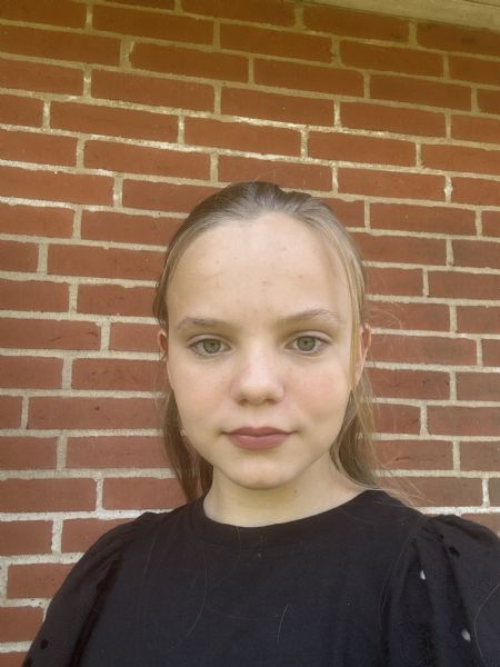 Profilbillede af Sara A- ID: 1750259 - Billede nr: 679517