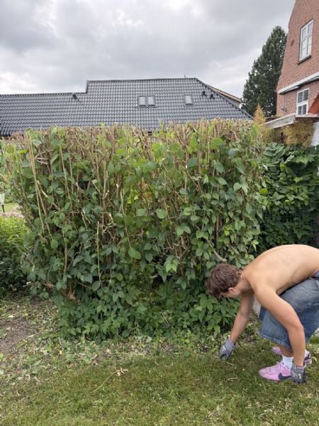 Billede af Carl - ID: 1750524 - Billede nr: 681299