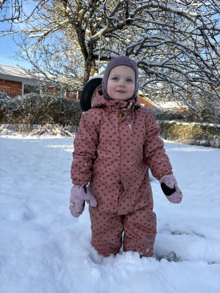 Billede af Bella - ID: 1751125 - Billede nr: 684237