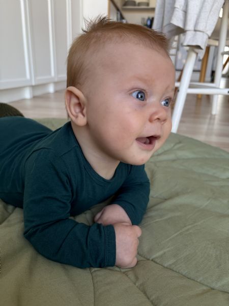 Billede af Arthur - ID: 1751209 - Billede nr: 684699